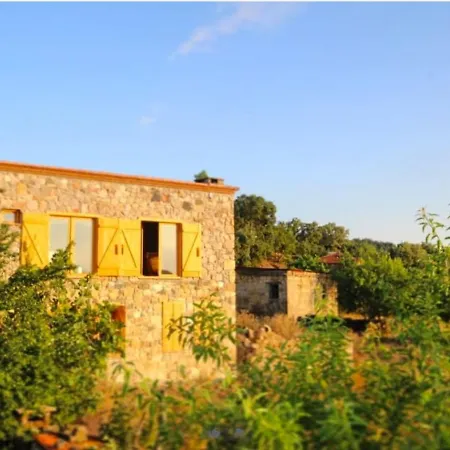 Close To Assos In Ayvacik Sazlı